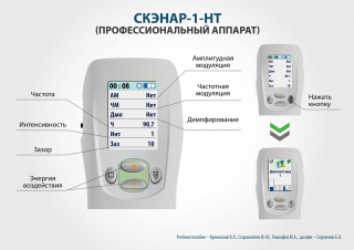 СКЭНАР-1-НТ (исполнение 01)  в Железногорске купить Медицинская техника - denasosteo.ru 