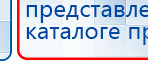 СКЭНАР-1-НТ (исполнение 01 VO) Скэнар Мастер купить в Железногорске, Аппараты Скэнар купить в Железногорске, Медицинская техника - denasosteo.ru